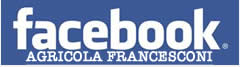 logo facebook